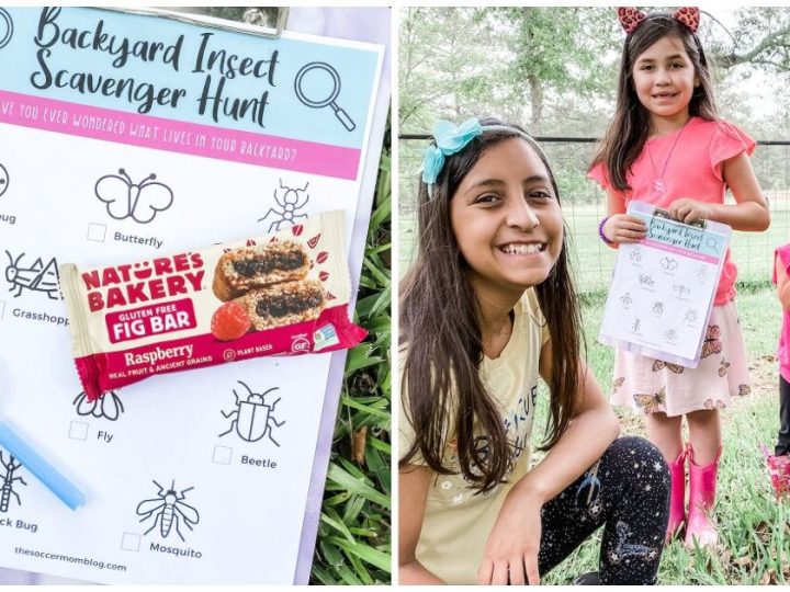 Image for Backyard Bug Hunt - Free Printable!