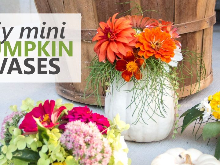 Image for DIY Pumpkin Vases with Fresh Flowers (Video)