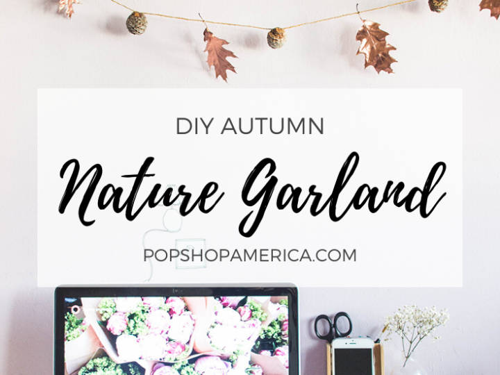 Image for DIY Autumn Nature Garland